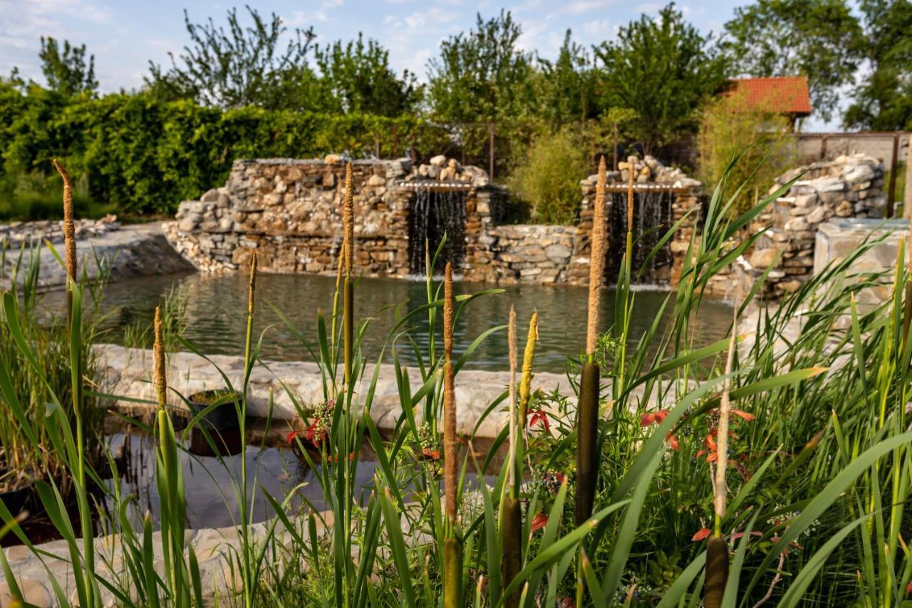 Country Spa Retreat Snagov Eksteriør billede The River at the Living Prairie