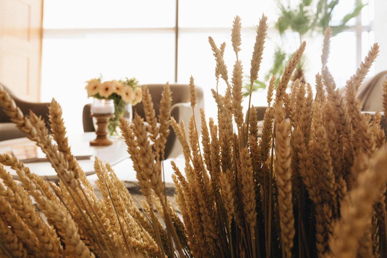 Country Spa Retreat Snagov Eksteriør billede Wheat